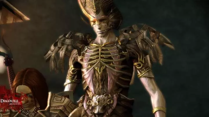 Dragon Age Awakening - PC