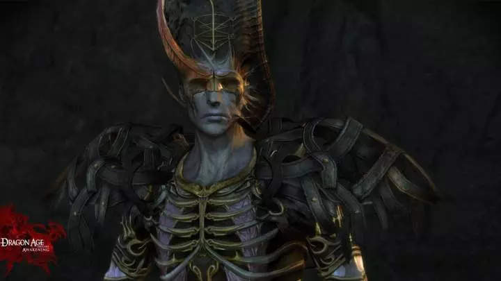 Dragon Age Awakening