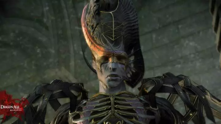 Dragon Age Awakening