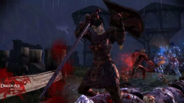 Dragon Age Awakening