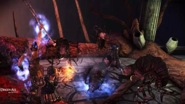 Dragon Age Awakening