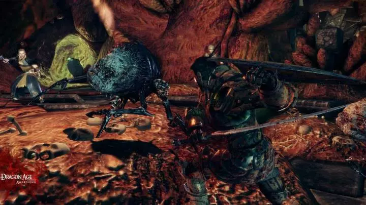 Dragon Age Awakening