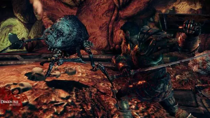 Dragon Age Awakening