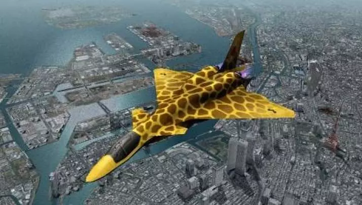 Ace Combat: Joint Assault