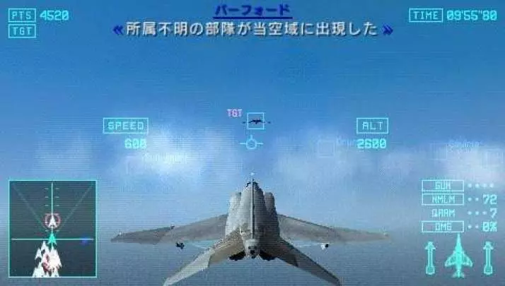 Ace Combat Joint Assault