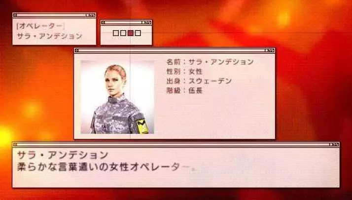 Ace Combat Joint Assault