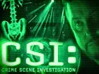 CSI: Crime Scene Investigation