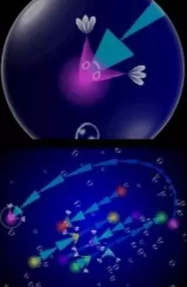 Electroplankton Trapy - DS