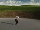 Tiger Woods PGA Tour 11 - Imagen