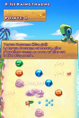 Save the Turtles - DS