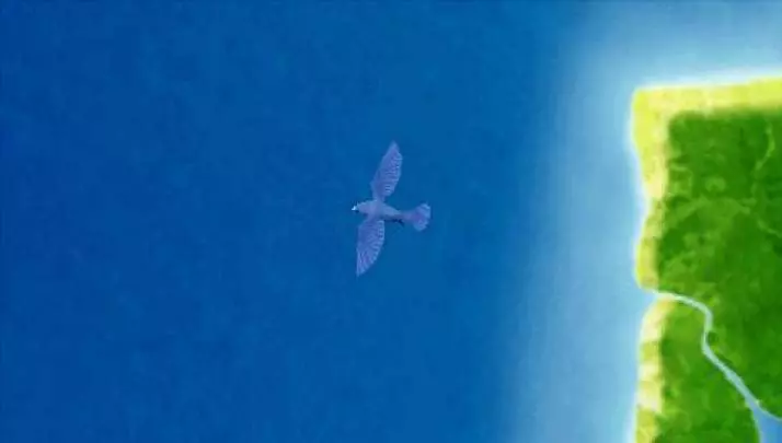 Harvest Moon Hero of Leaf Valley