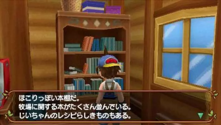 Harvest Moon: Hero of Leaf Valley