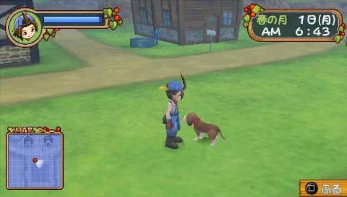 Harvest Moon Hero of Leaf Valley