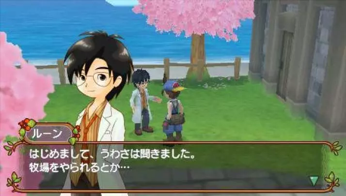 Harvest Moon Hero of Leaf Valley - PSP