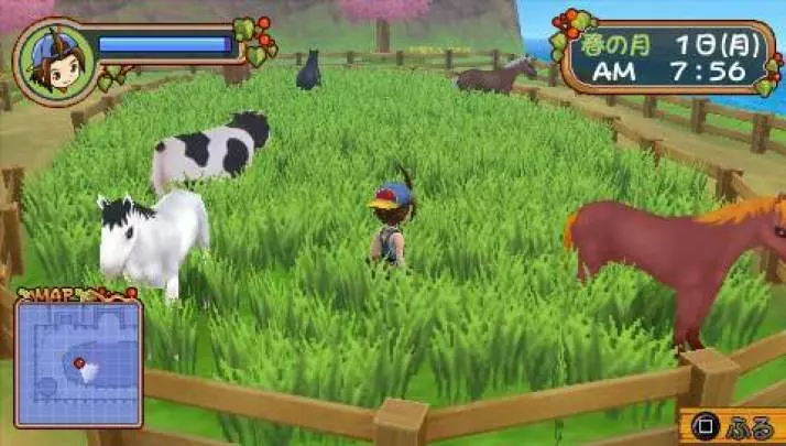 Harvest Moon: Hero of Leaf Valley