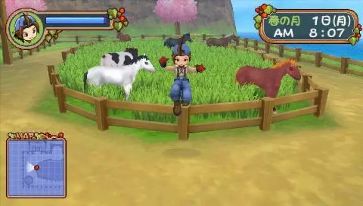 Harvest Moon Hero of Leaf Valley - PSP