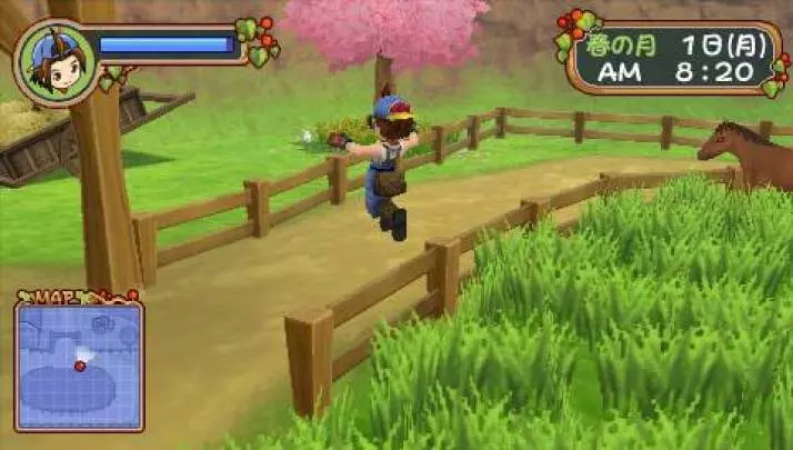 Harvest Moon Hero of Leaf Valley