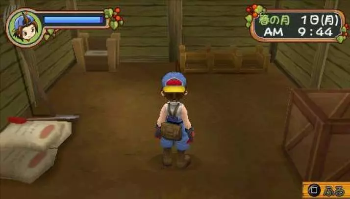 Harvest Moon Hero of Leaf Valley