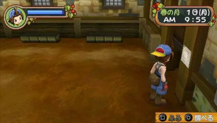 Harvest Moon: Hero of Leaf Valley