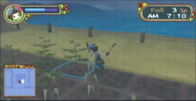 Harvest Moon Hero of Leaf Valley