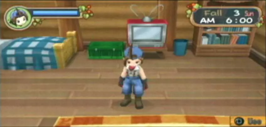 Harvest Moon Hero of Leaf Valley