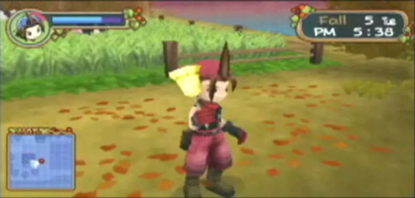 Harvest Moon Hero of Leaf Valley