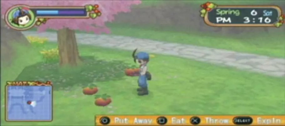 Harvest Moon Hero of Leaf Valley
