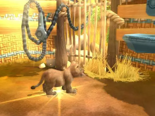 Wildlife Camp in the Heart of Africa