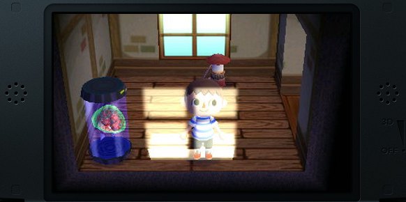 Animal Crossing New Leaf 3DS