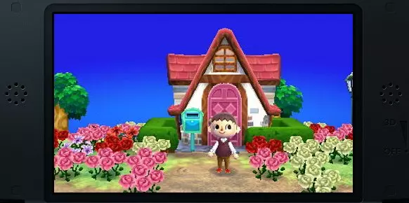Animal Crossing New Leaf 3DS