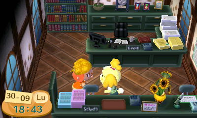 Imagen de Animal Crossing: New Leaf