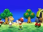 Animal Crossing New Leaf 