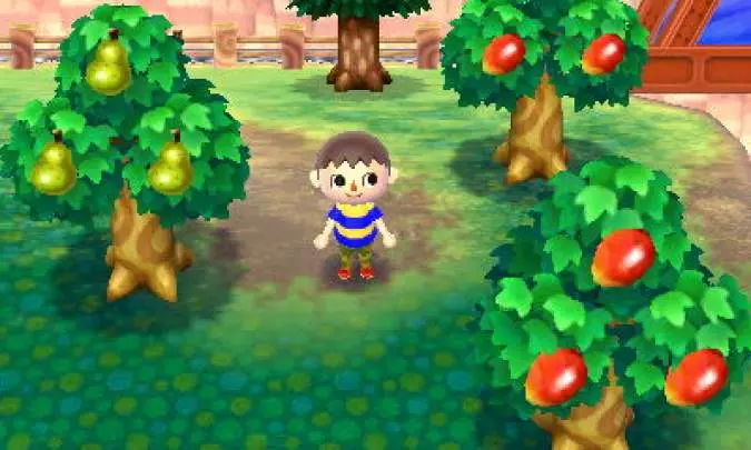 Animal Crossing New Leaf - 3DS