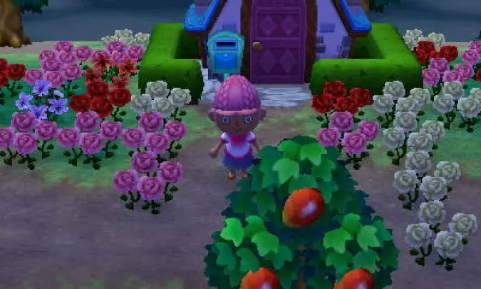 Animal Crossing New Leaf