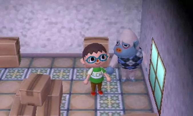 Animal Crossing New Leaf