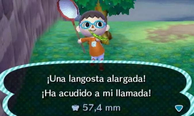 Animal Crossing New Leaf