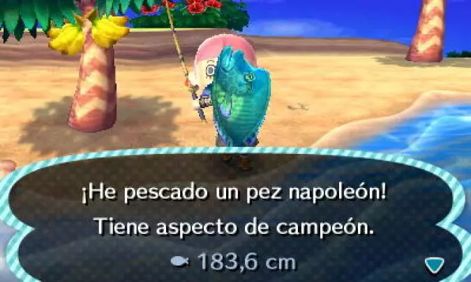 Animal Crossing New Leaf