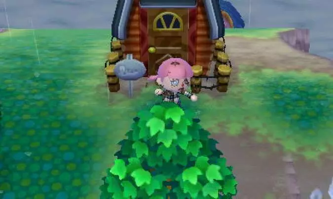 Animal Crossing New Leaf