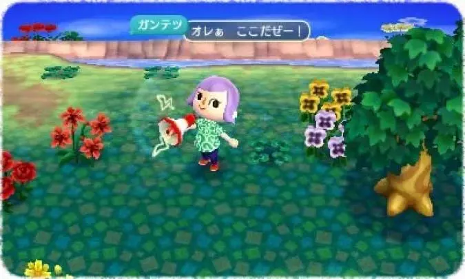Animal Crossing New Leaf - 3DS