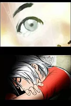 Another Code Two Memories - DS