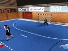 Handball Challenge 