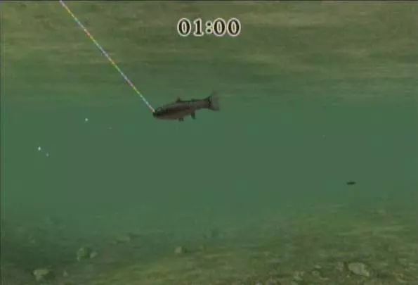 Reel Fishing Challenge