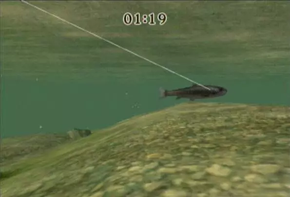 Reel Fishing Challenge