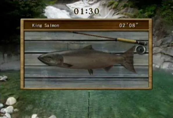 Reel Fishing Challenge