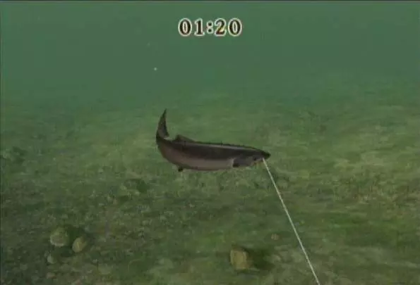 Reel Fishing Challenge - Wii