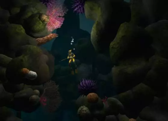 Dive The Medes Islands Secret - Wii