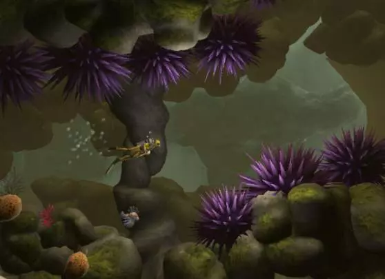 Dive The Medes Islands Secret