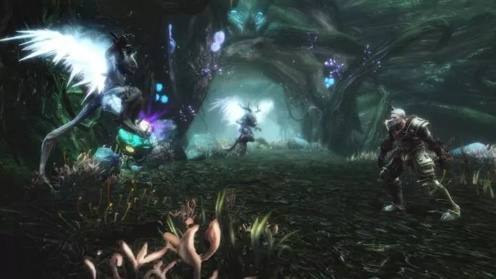 Kingdoms of Amalur Reckoning