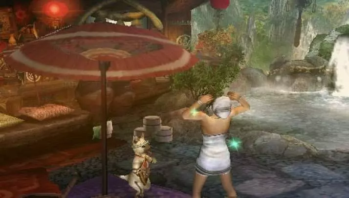 Monster Hunter Freedom 3 - PSP