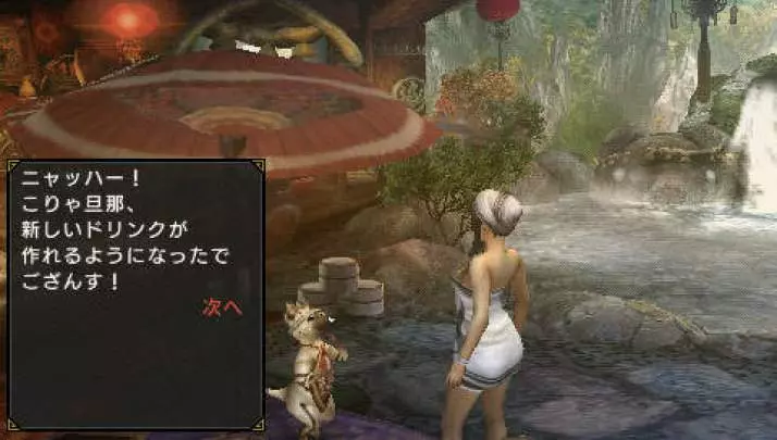 Monster Hunter Freedom 3